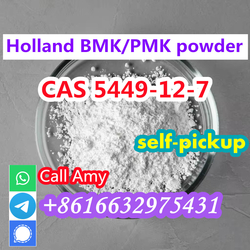 CAS 5449-12-7 New BMK Powder 