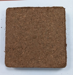 HIGH EC COCOPEAT 5KGS  from FUTURE GENERAL TRADING FZ-LLC