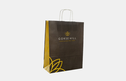 PAPER CARRY BAGS from EXCEL GRAPHICS PRINTING PRESS (L.L.C)