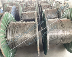 Capillary String Injection, Capillary String in Oil and Gas, Encapsulated Capillary tubing from QINGDAO BANGHUA WIRE & CABLE CO., LTD