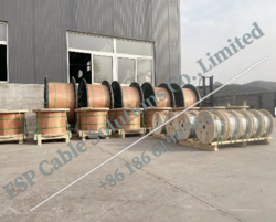 Capillary String Injection, Capillary String in Oil and Gas, Encapsulated Capillary tubing