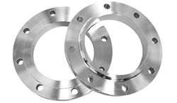 SS 317L FLANGES