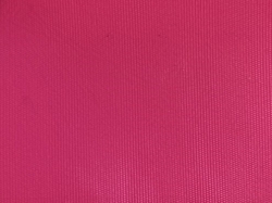 Nylon Fabric - PTN001 from PHENOM TEXTILE CO., LTD.