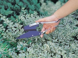 Leafage and Grass Shears - 3151 from WINLAND GARDEN TOOLS CO., LTD