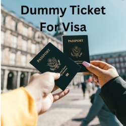 Buy Affordable Dummy ticket for visa 