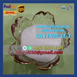 Low Price and Good Quality CAS 7400-27-3 Tert-Butylhydrazine Hydrochloride from LINKONG TRADING CO.