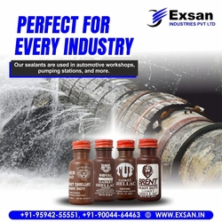 Exsan's Gasket Shellac