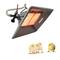 Farm heater equipment poultry chicken chick gas br ...