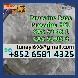 100% Customs Clearance Procaine Base/ Procaine ...