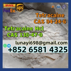 100% Customs Clearance Procaine Base/ Procaine Hcl CAS 59-46-1/51-05-8