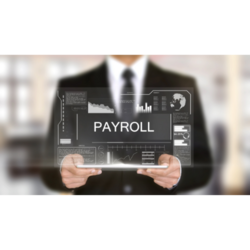 PAYROLL SOFTWARE from AMIGOHR