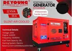 DeYoung Portable Diesel Generator 