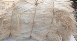 Sisal Fibre from VICTORY ROPE AND TWINE FZE