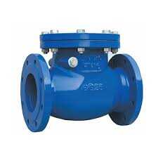 Check Valve from FERRO FITTINGS AND ALLOYS