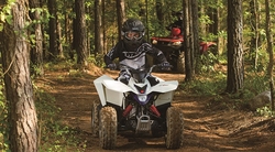 Motorcycle (QUADSPORT Z90)