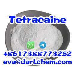 Anesthetic 99% Purity CAS136-47-0 Tetracaine HCl Powder Tetracaine Base