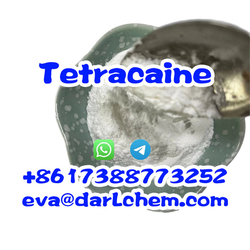 Anesthetic 99% Purity CAS136-47-0 Tetracaine HCl Powder Tetracaine Base