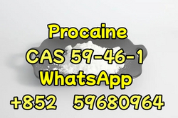 High quality Procaine cas 59-46-1