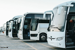 TRANSPORT COMPANIES