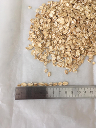 OAT FLAKES