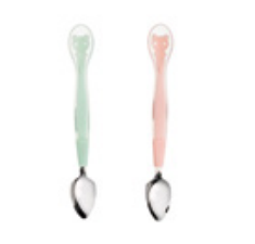Stainless Spoon