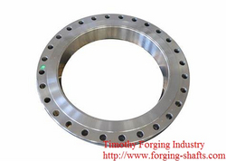Stainless Steel Forged Flange from TIMOTHY FORGING INDUSTRY