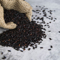 Naturally Grown Original Chak Hao Black Rice – P ...