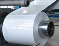 FLAT PRODUCTS - Pre-painted Galvanized Steel in Coil