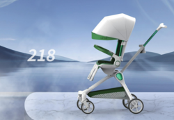 LIGHTWEIGHT REVERSIBLE PUSHCHAIR -218
