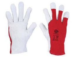 Short Driving Gloves from SKANDA INTERNATIONAL FZ LLE