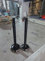 Engine valve {samara}