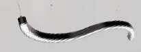 Su Yolu Linear(F-2902) from SKANDA INTERNATIONAL FZ LLE