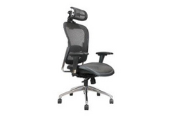 Ergonomic Mesh Chair LM5889AX-A