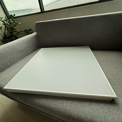 Aluminum Clip-in Ceiling