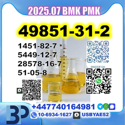 2Bromovalerophenone Oil 49851-31-2 source factory safe delivery