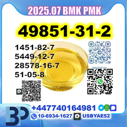 2Bromovalerophenone Oil 49851-31-2 source factory safe delivery