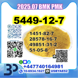 B.M.K 5449 Glycidic acid