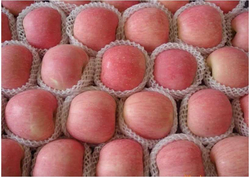 FUJI APPLE from SHANGHAI HEMI SUPPLY CHAIN TECHNOLOGY CO., LTD