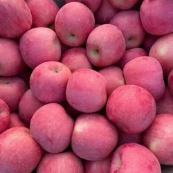 FUJI APPLE