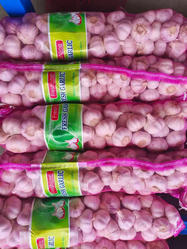 Fresh Garlic