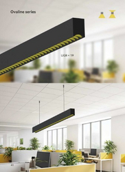 Ovaline Series Led light 