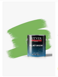 Platinum Silk Wall Paint