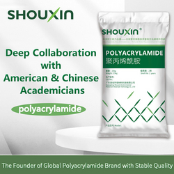 Polyacrylamide - Deep Collaboration with American & Chinese Academicians - SHOUXIN  from GUANGDONG SHOUXIN ENVIRONMENTAL PROTECTION MATER