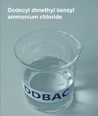 Dodecyl Dimethyl Benzyl Ammonium Chloride (DDBAC)