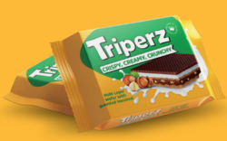 Crispy Thick Multi Layer Wafer from SKANDA INTERNATIONAL FZ LLE