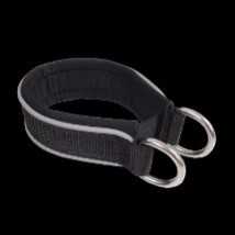 Reflective Far Infrared Padding Dog Collar from JONE SHOU INDUSTRIAL CO., LTD.