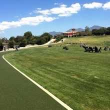 Golf Tee Line - H39805/H39705 from NATURAL ARTIFICIAL GRASS INDUSTRIAL CO., LTD.