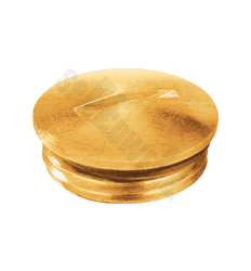 Speedwell BRASS STOPPING PLUG