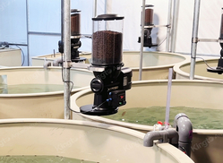 Automatic Feeder