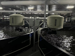 Automatic Feeder